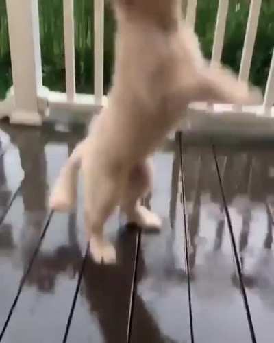 Playing with Rain