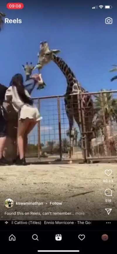 Problems with letting go lol ?