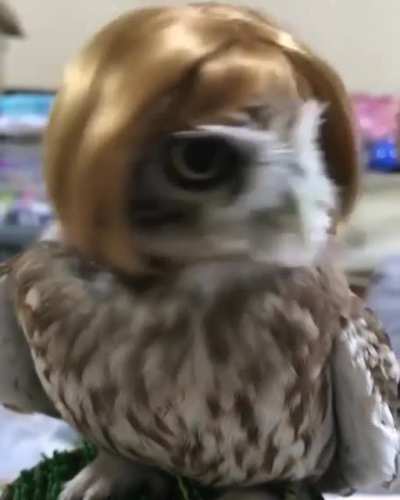 She's a head-turner