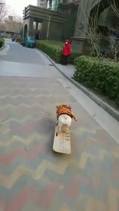 Maybe Maybe Maybe