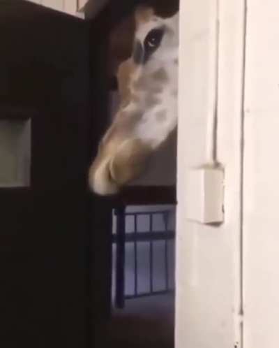 Suggest a title