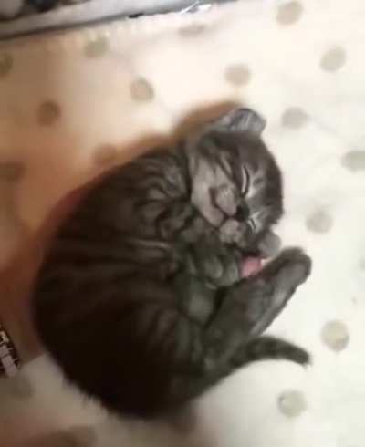 Shh, he is sleeping