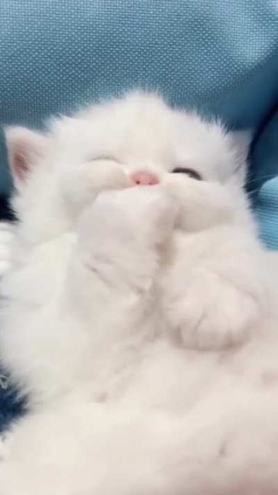 Sweet baby! ?