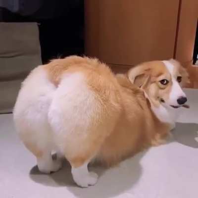 Reddit models be like ' I just posted an Inspiration quote ,is it cute ? ??