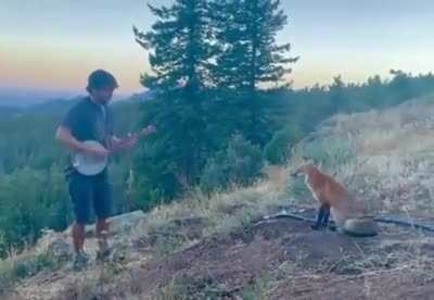 This cool guy playing a relaxing sound for his friend. So amazing!