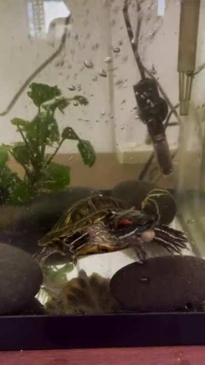 Maybe maybe maybe