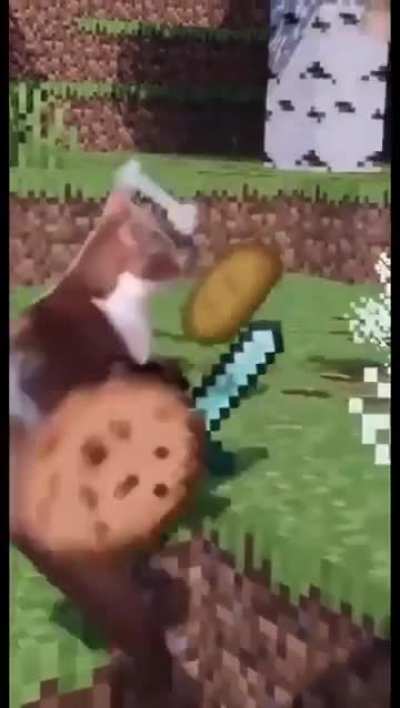 MeowCraft