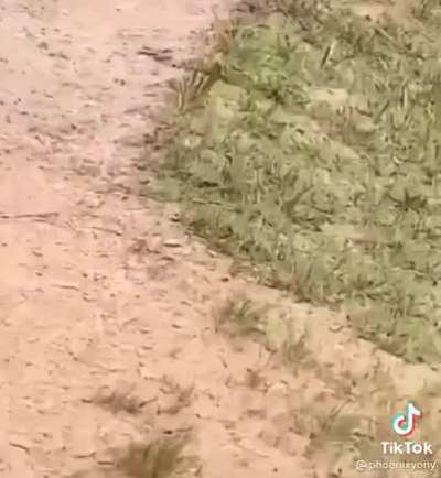 What is that?