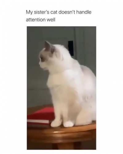 What’s that noise!