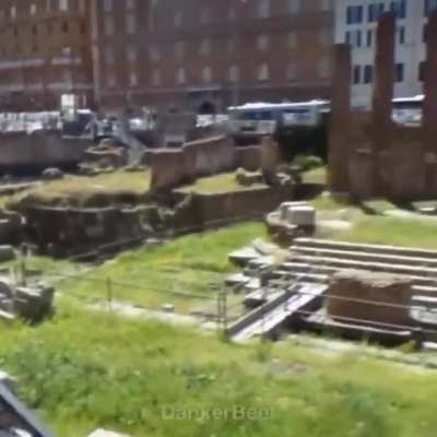 Google Earth is incredible