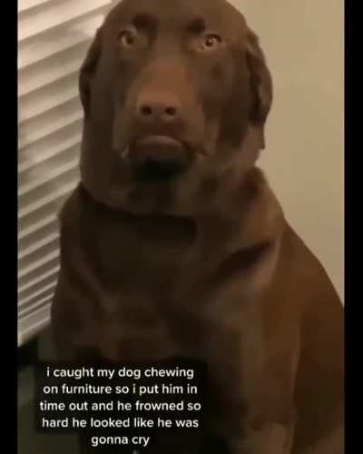 Someone's cranky