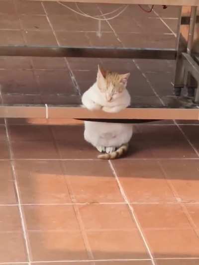 He's taking a break..???