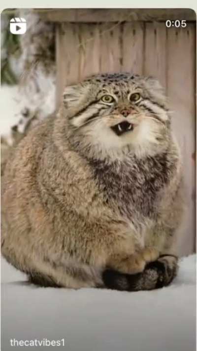 His paws are cold ??
