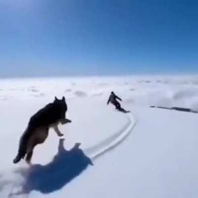 Having fun and feeling free, high altitude zoomies