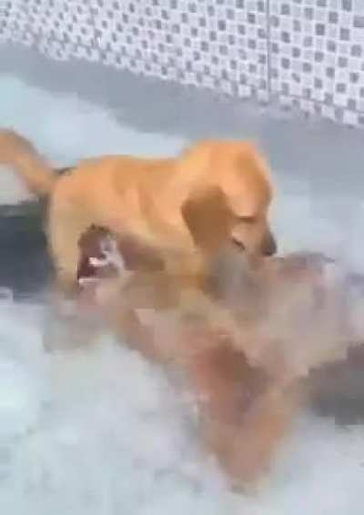 we call that "enhanced interrogation techniques"
