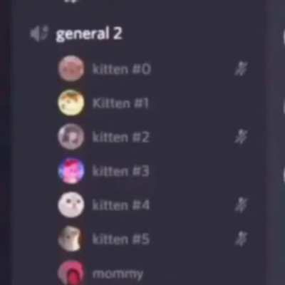 Furry Discord.