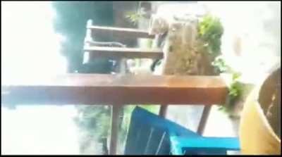 WCGW cutting the side of this swimming pool