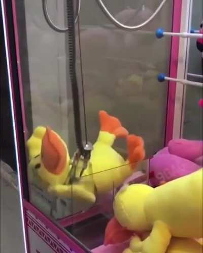Well that ducks