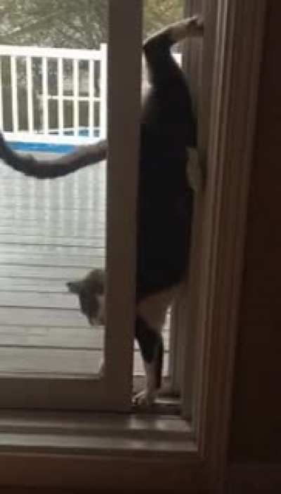 stuck between the screen and the glass