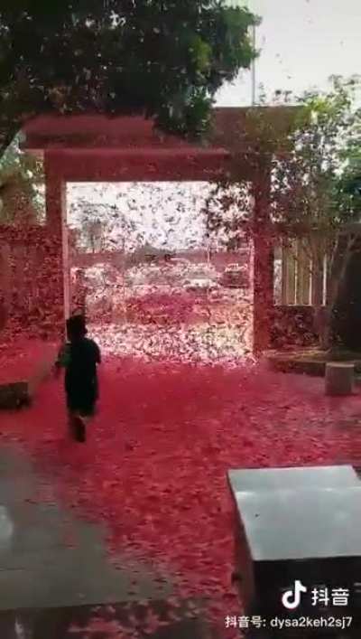 Confetti Cannon