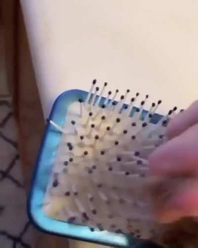 Watch without sound