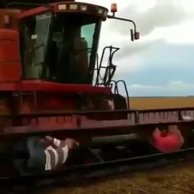 HMB while we hang on a harvester cutting blades
