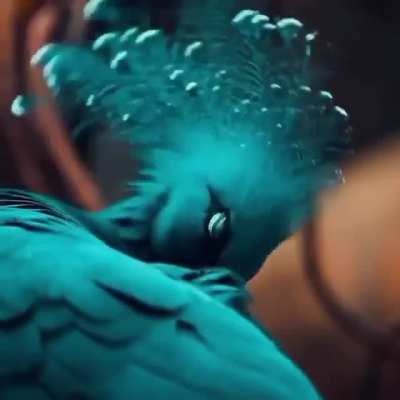 ? The fan-bearing crowned pigeon looks majestic!