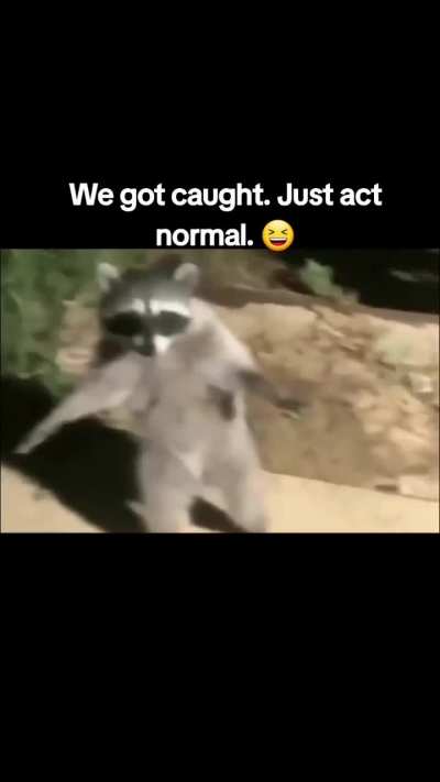 Sneaking, sneaking, uh oh