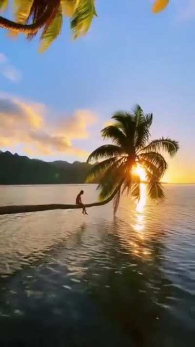 ? Mo'orea French Polynesia