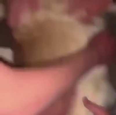 There’s enough hands for both puppers