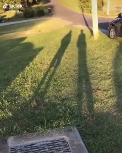 Shadows are fun