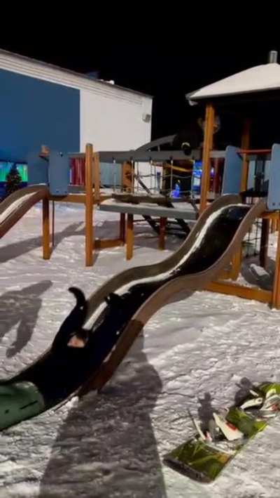 Fun On The Slide