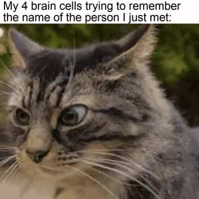 Its a struggle