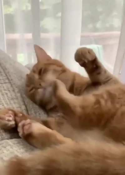 Tryna clean himself when...
