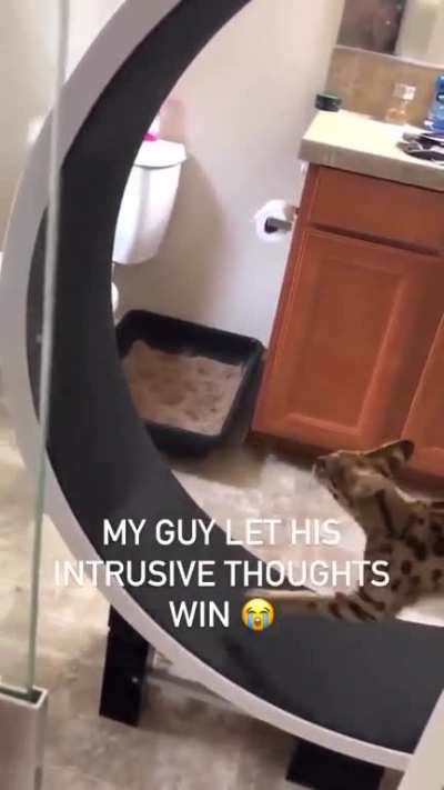 Working out