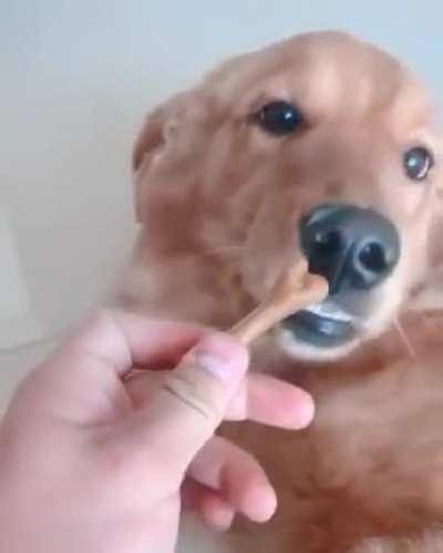 You know you're not yourself 'till you've had your treat