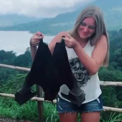 ? Giant Golden Crowned Flying Fox ?