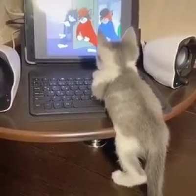 Tom & Jerry ?