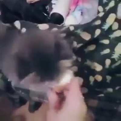 only one bite- ONLY ONE BITE!!