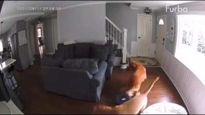 WCGW Running your Roomba when you’re not home