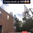 javale mcgee