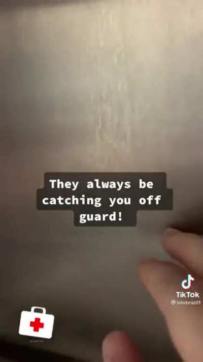 They always find a way!