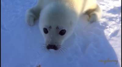 Hello. ?