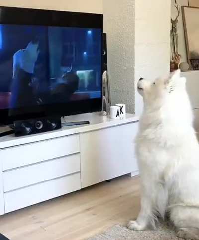 He is really into it...