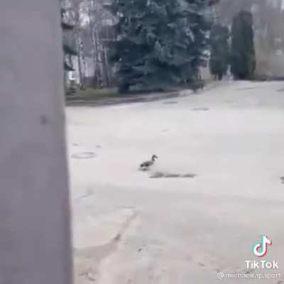Oh no!! Oh wait, yay!!