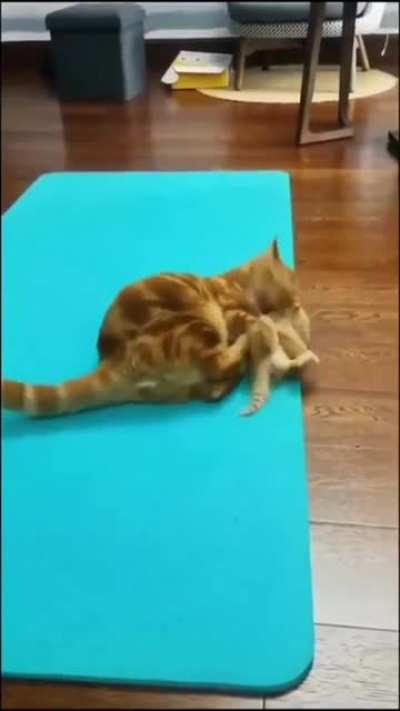 A lesson was learned