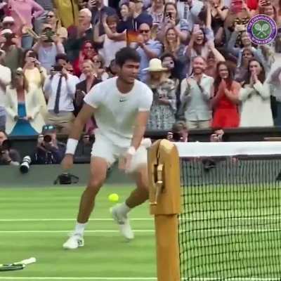 Carlos Alcatraz winning his first Wimbledon at 20 years of age!