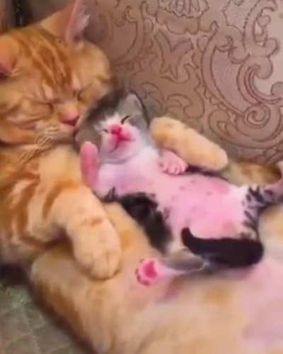 Just napping with the Family on this Sunday Afternoon =)