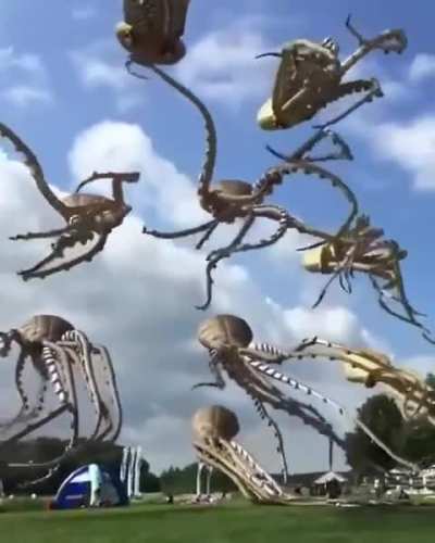 These are Octopus Kites - handmade and each 15 meters long.