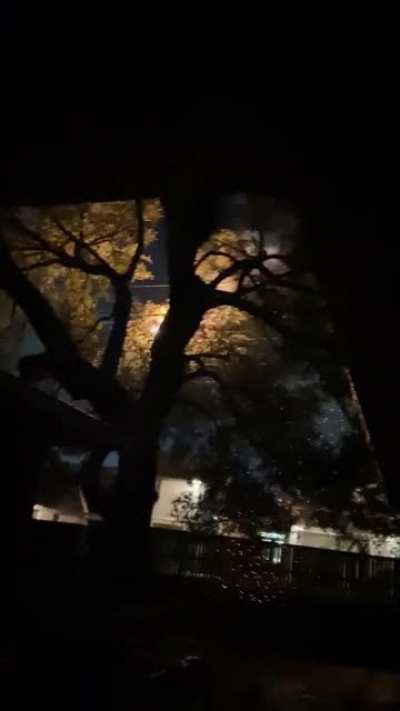 Ice caused my tree to touch a 138kV transmission line, catching my tree on fire and causing a 3 day power outage for the entire neighborhood